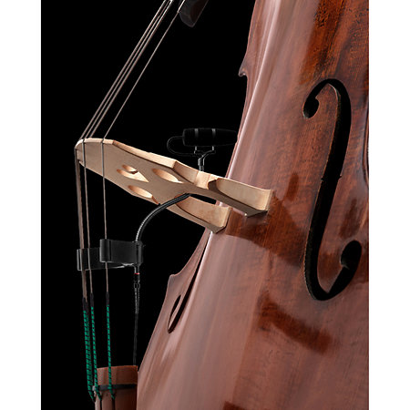 4099 CORE+ Loud SPL, Contrebasse DPA