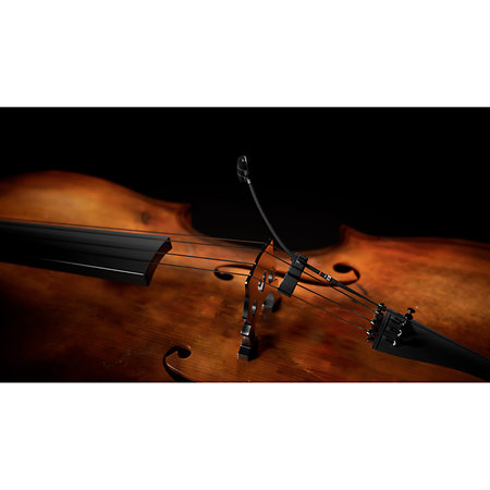 4099 CORE+ Loud SPL, Violoncelle DPA