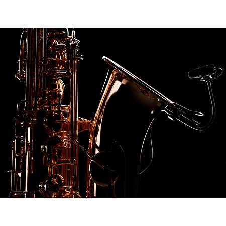 4099 CORE+ Loud SPL, Clamp DPA