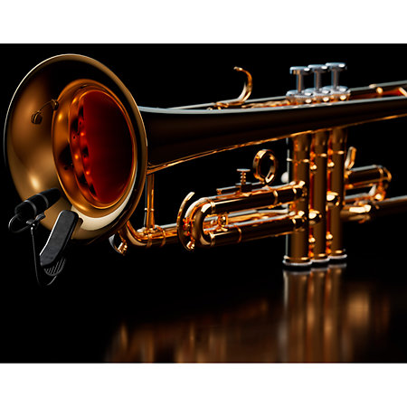 4099 CORE+ Loud SPL, Clamp DPA