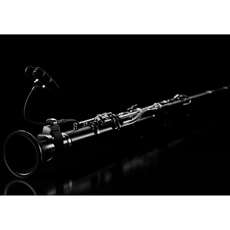 4099 CORE+ Loud SPL, Universel DPA