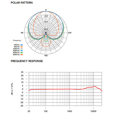 NT1 Signature White Rode