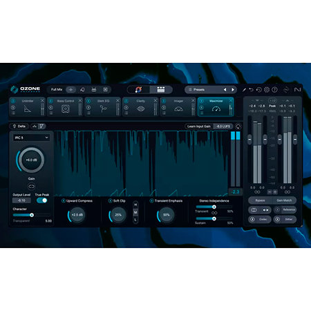Ozone 12 Standard Izotope