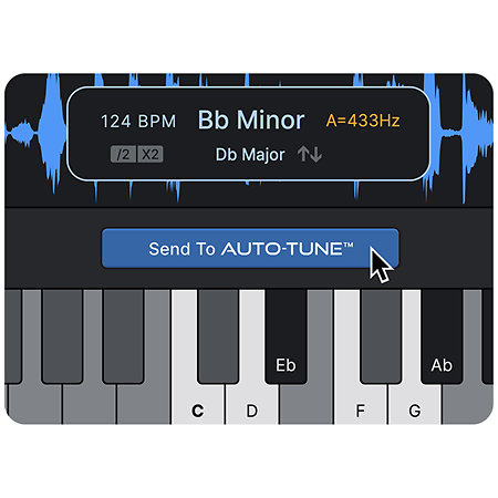 Bundle AutoTune 2026 + AutoKey 2 (licence) Antares