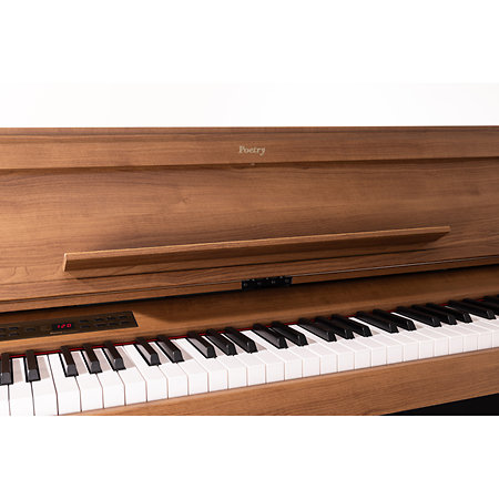 Poetry Magnifique Korg