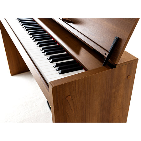 Poetry Magnifique Korg