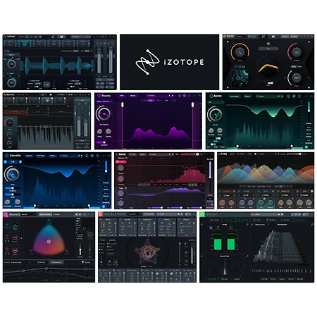 Everything Bundle : Crossgrade from RX Advanced Izotope
