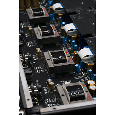 Auteur Quad 2 Black Lion Audio