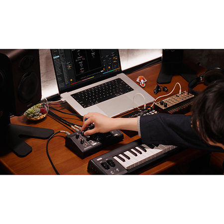 MicroAUDIO 722 + Filtre Minikorg 700 Korg