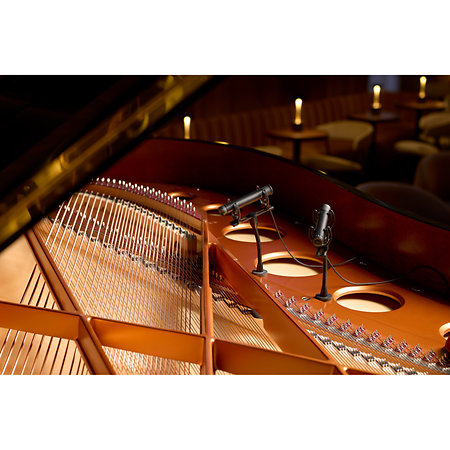 DPK2015 Piano Stereo Kit DPA