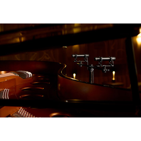 DPK2015 Piano Stereo Kit DPA