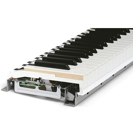 Numa X Piano GT SE Studiologic