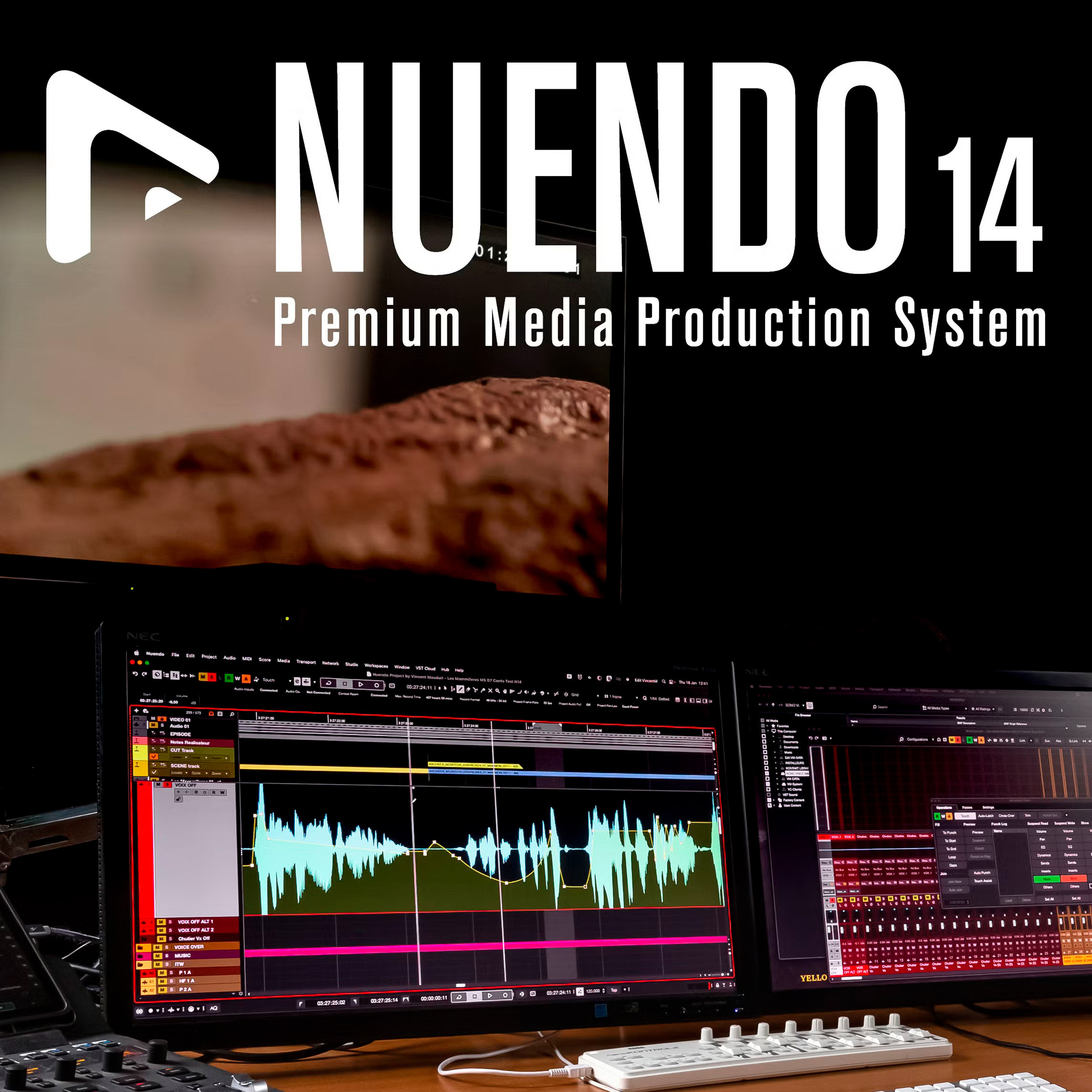Steinberg Download Nuendo 14
