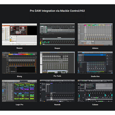 Artist 49X Icon Pro Audio