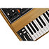 Minimoog Model D Bob Moog Tribute Edition Moog