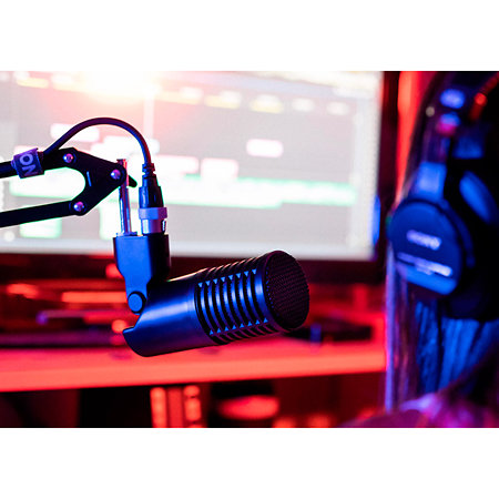 DynaCaster DCM8 SE Electronics