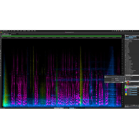 SpectraLayers Pro 12 (licence) Steinberg Download