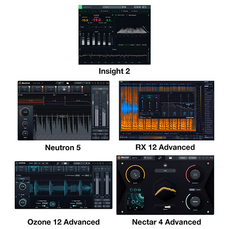 Everything Bundle : Upgrade from Post Production Suite (licence) Izotope