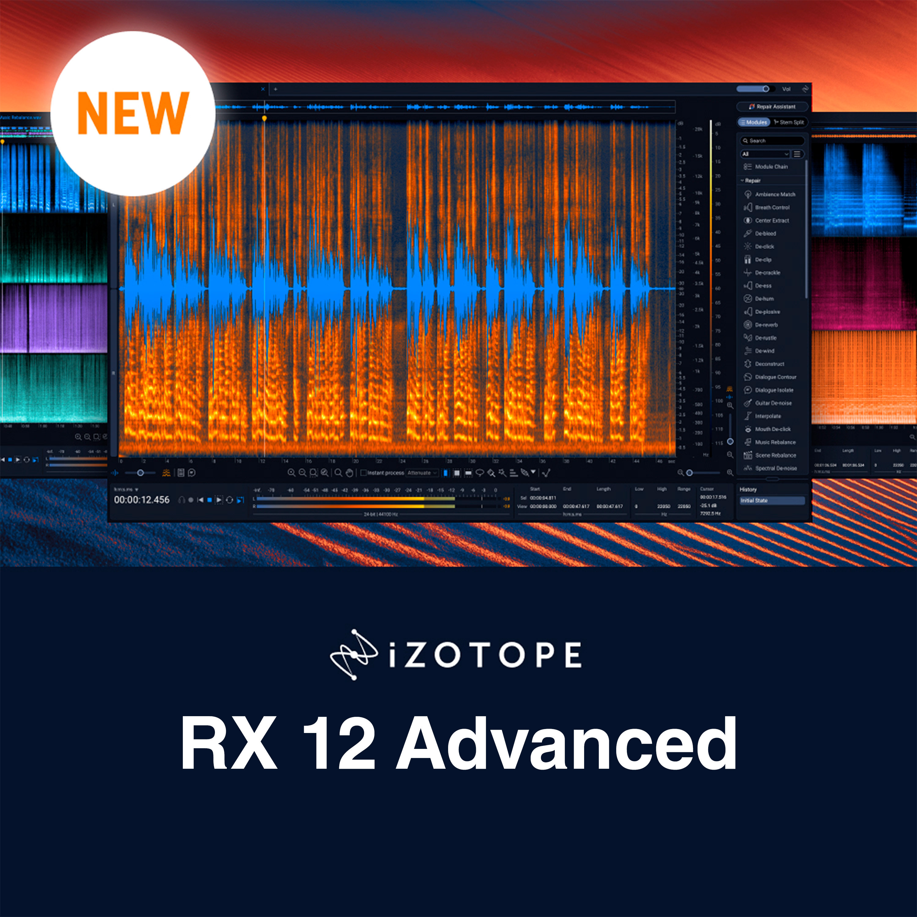 Izotope RX 12 Advanced (licence)
