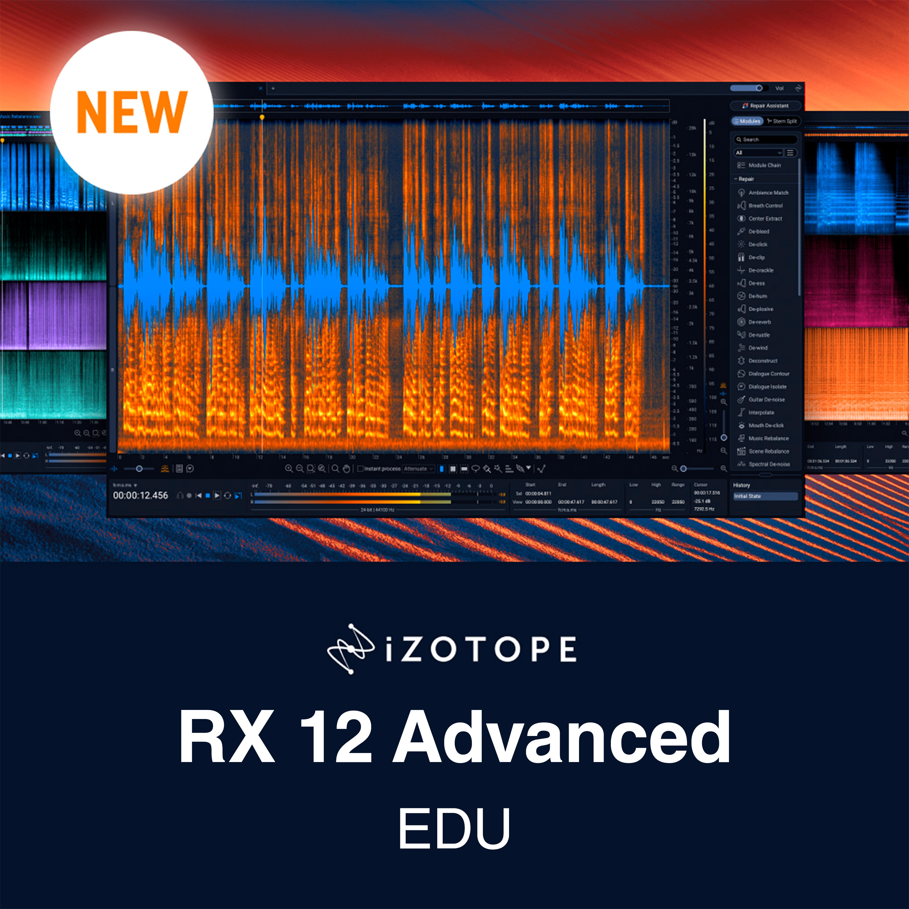 Izotope RX 12 Advanced EDU (licence)