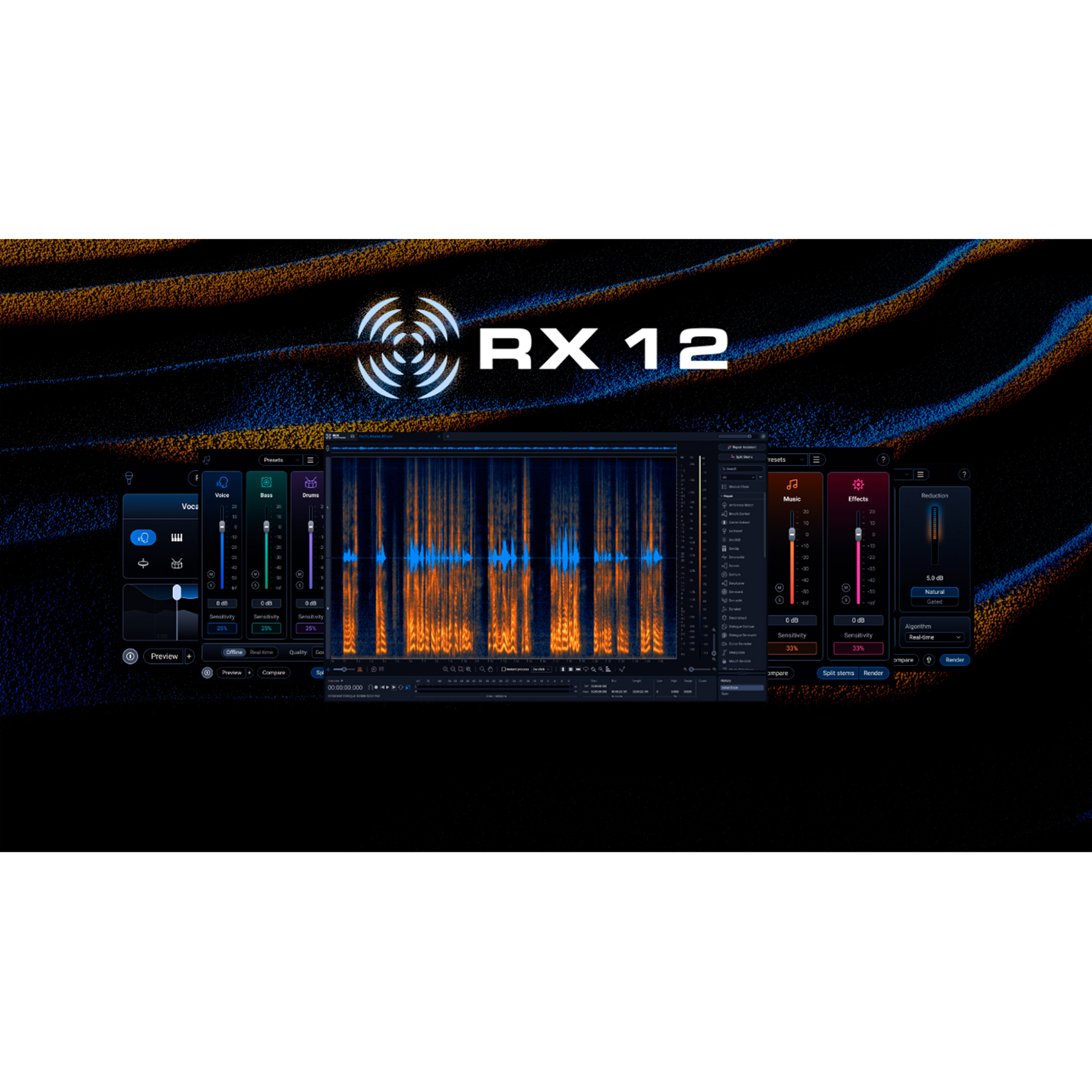 Izotope RX 12 Advanced EDU (licence)