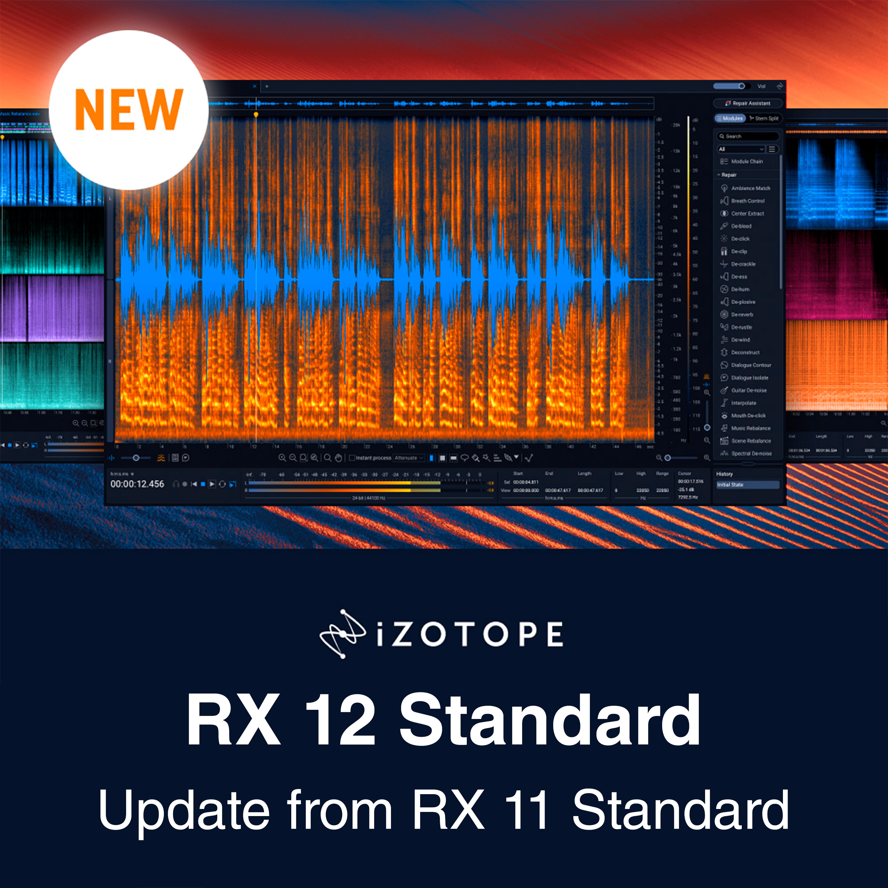 Izotope RX 12 Standard : Update from RX 11 Standard (licence)
