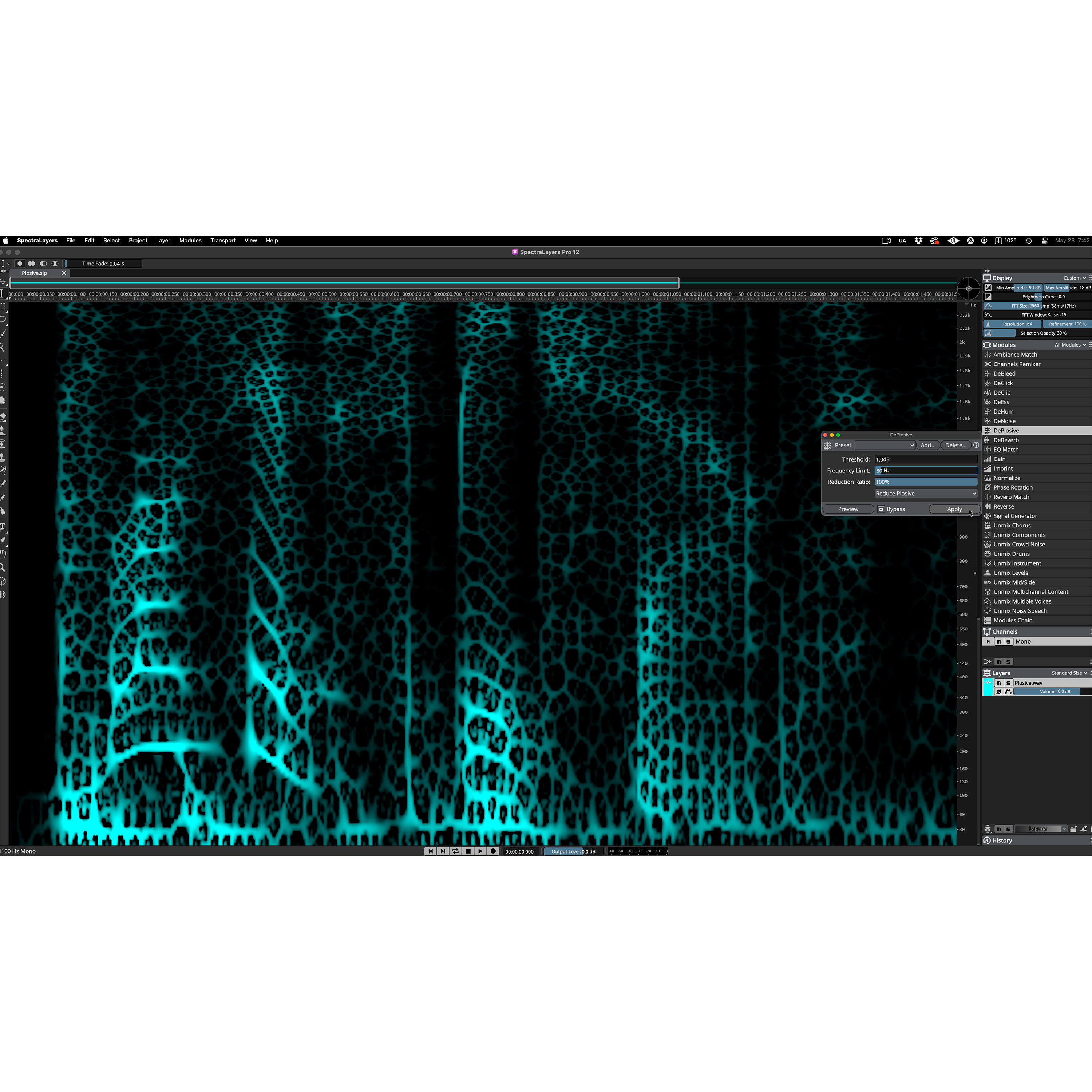 Steinberg Download SpectraLayers Pro 12 (licence)