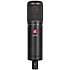 sE2200 SE Electronics