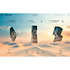 Komplete 26 Collector's Edition Upgrade for Standard 14 and older (licence) Native Instruments