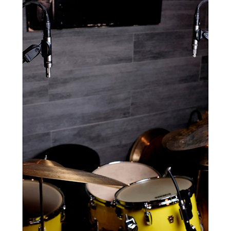 DK7 Gen2 Earthworks Audio