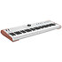 AstroLab 61 Silver Arturia