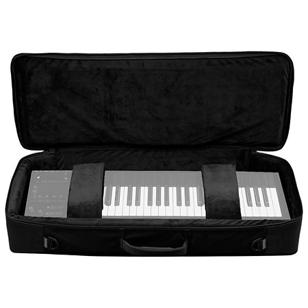 Osmose 49 CE + Soft Case + Soliste + Noisy 2 Expressive E