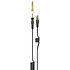KH 80 DSP + HD 480 PRO Etui Neumann