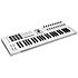 KeyLab MkII 49 White + V Collection 11 Intro Arturia