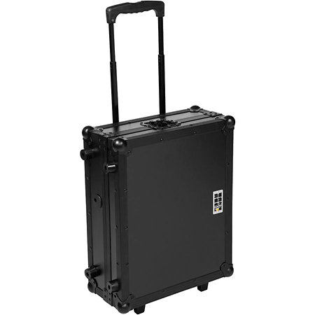 Pack PLX-CRSS12 + Flight Case noir Pioneer DJ