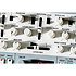 n/vision Roland