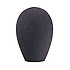W32 AKG