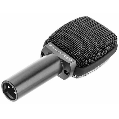 E609 Silver Sennheiser