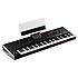 Pa4X 76 Korg