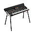 Pa4X 61 Oriental Korg