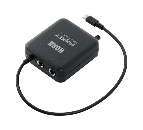 plugKEY Black Korg
