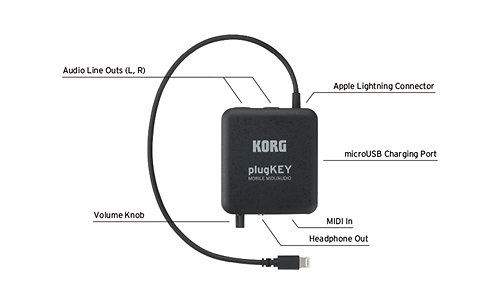 plugKEY Black Korg