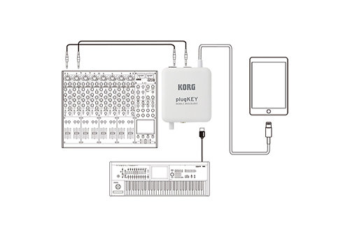 plugKEY Black Korg