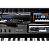 plugKEY Black Korg
