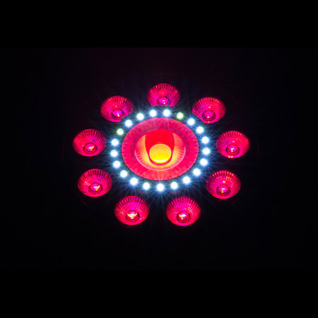 FXpar 9 Chauvet