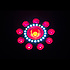 FXpar 9 Chauvet