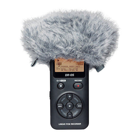 WS-11 Tascam