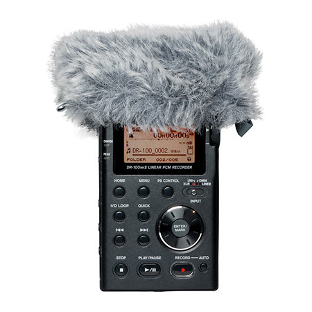 WS-11 Tascam