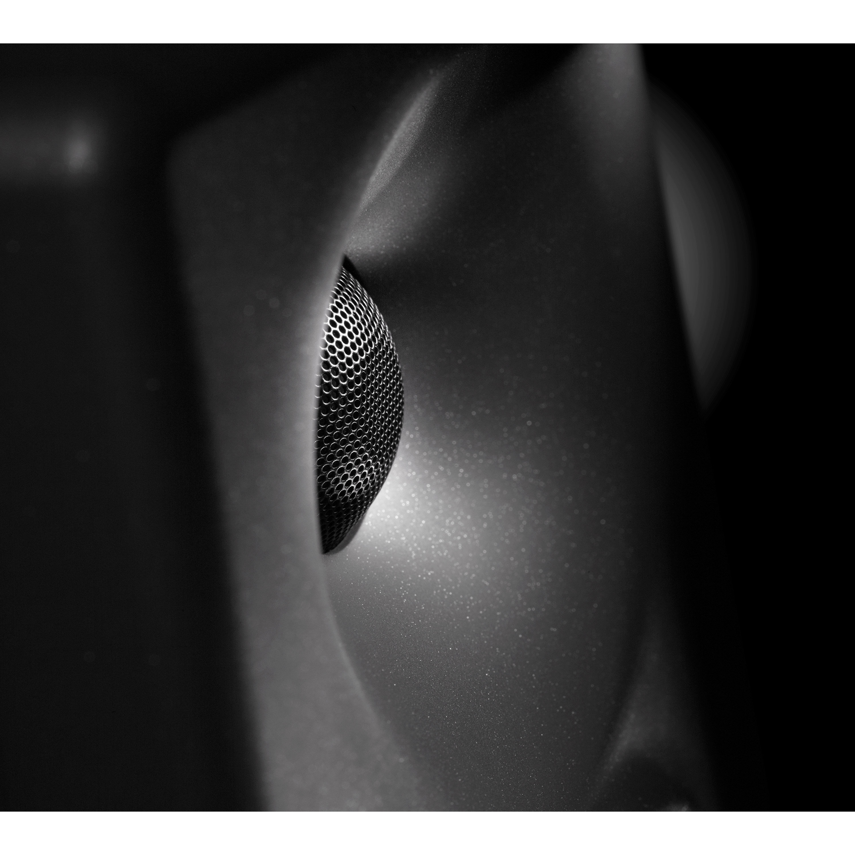 Neumann KH 80 DSP (la pièce)