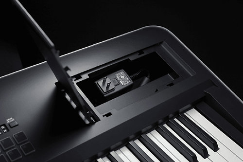 KROSS 2-88-DB Dark Blue Korg